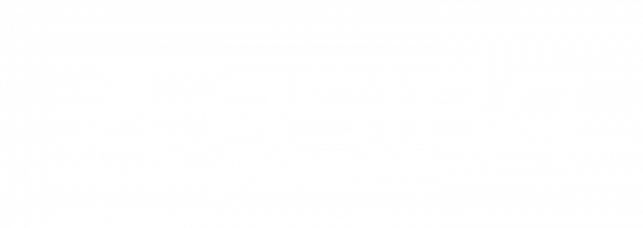 ASIBA S.A. de C.V.